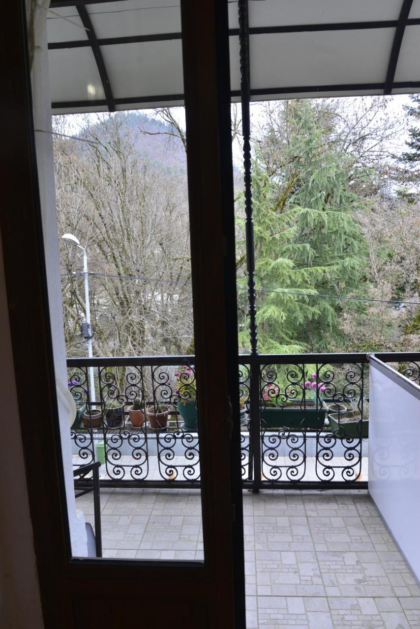 Hotel Victoria Borjomi Bagian luar foto